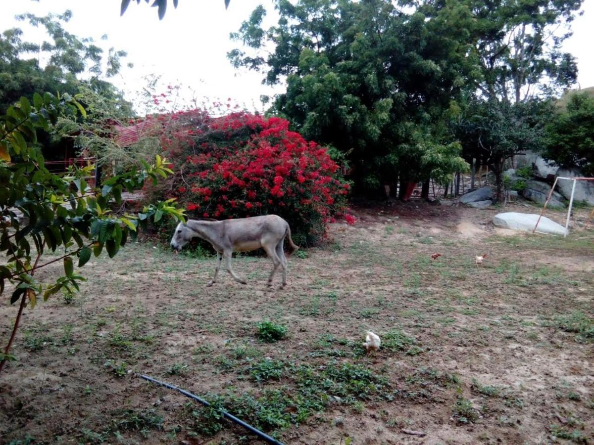 Hostel Finca La Gordita Calabazo  Bagian luar foto