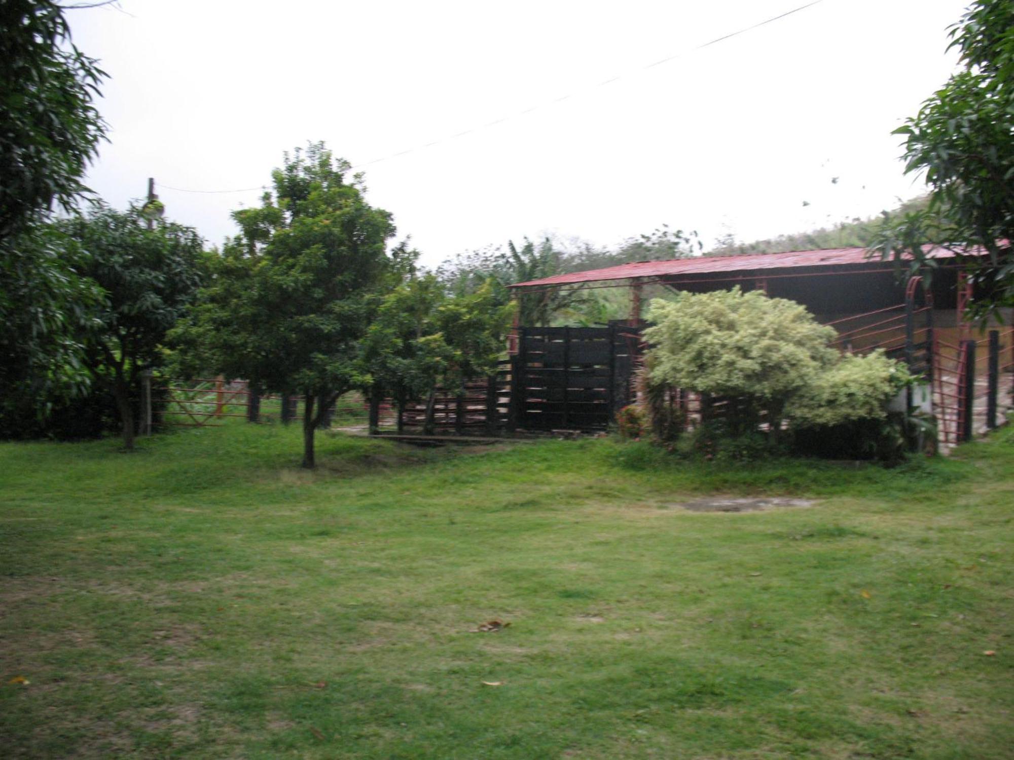 Hostel Finca La Gordita Calabazo  Bagian luar foto